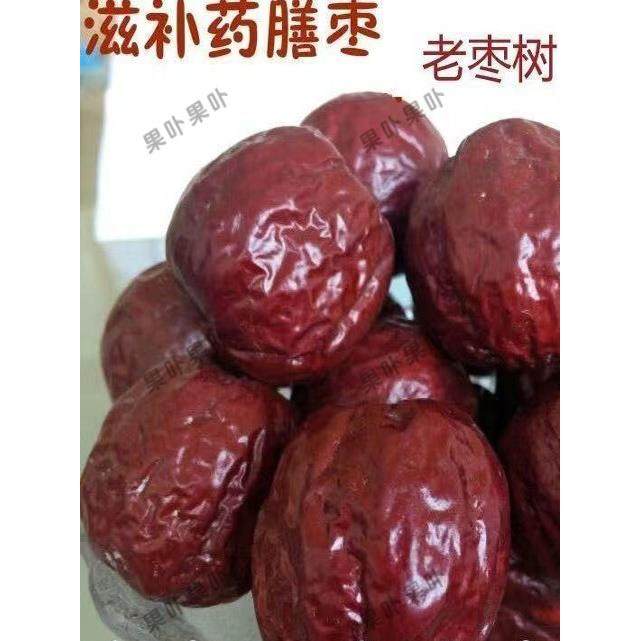 正宗新疆哈密大枣圆枣新疆红枣五堡枣药枣新疆特产孕妇月子枣煲汤