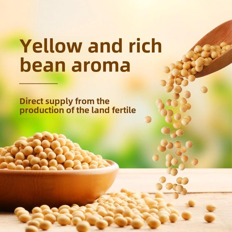 北大荒罐装大豆黑龙江东北非转基因黄豆生豆芽打豆浆专用大豆黄豆