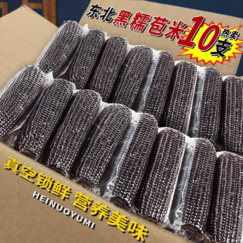 东北黑糯玉米真空装农家营养黑玉米健康粗粮加热代餐整箱黑玉米