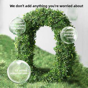 【黑金系列】老金莫方Dha藻油黑芝麻饼孕妇休闲健康零食早餐