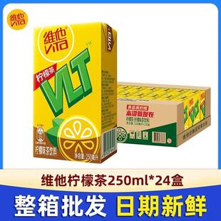 维他柠檬茶250ml*24盒经典原味柠檬味茶饮料整箱维他奶巧克力