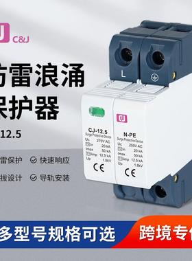 策佳浪涌保护器SPD避雷器1P+N/3P+N家用AC275V交流直流电涌防雷器