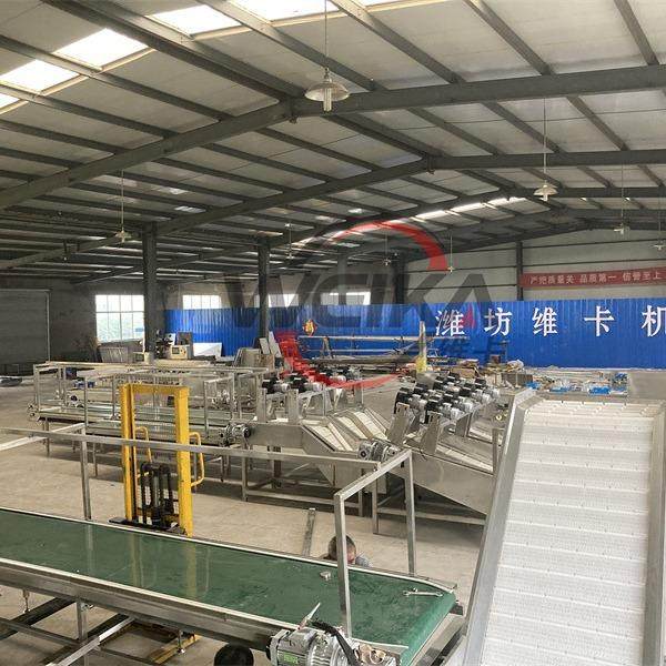 西智梅龙眼直分径风能分KIG选机清洗选干设备无损伤厂家直销,清洗/食品/商业设备,肉制品加工设备,淘宝优惠券,粉丝福利购,淘宝优惠卷