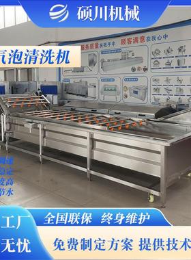 百合气泡清YNV机 山野菜荠菜清洗漂烫流线设备洗 预制菜产全套水