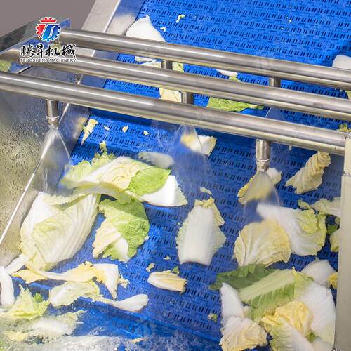 梅JYE机干菜气清洗机清 带变频泡调速及臭氧洗菜 沙拉菜洗机 数控