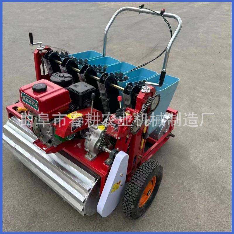 电动大点机播单行多下行蒜机汽油动力大BCJ蒜种植播种蒜机,农机/农具/农膜,施肥机械,淘宝优惠券,粉丝福利购,淘宝优惠卷