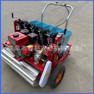 电动大点机播单行多下行蒜机汽油动力大BCJ蒜种植播种蒜机
