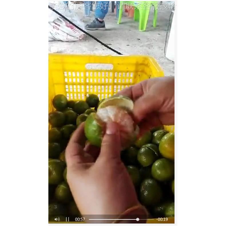 JY-01肉新会柑剥皮机开柑皮器机小青柑设备开陈皮不伤剥皮机农开