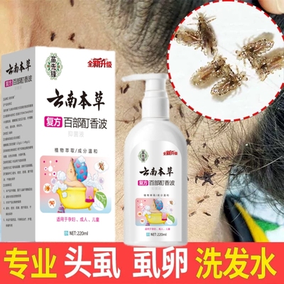虱子药小女孩头发虱立净