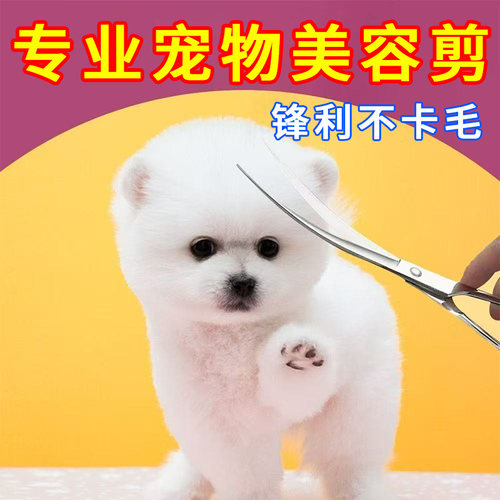 宠物美容狗狗剪刀剪毛工具专用修