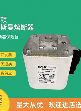 全新快速熔断器保险170M6516 170M6517 170M651S8 170M6519