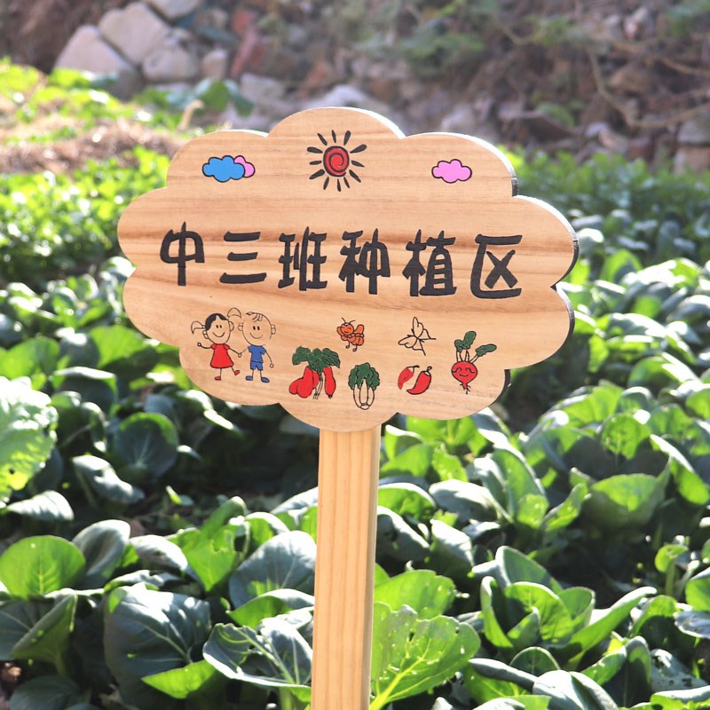 实木园艺植物标签牌木质插地牌户外指示标识牌幼儿园菜园告示木牌图片