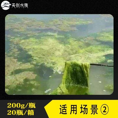 泥皮丝状青苔龙虾刚毛绿藻藻净养殖塘钢毛藻O水产青苔杀杀塘蟹藻