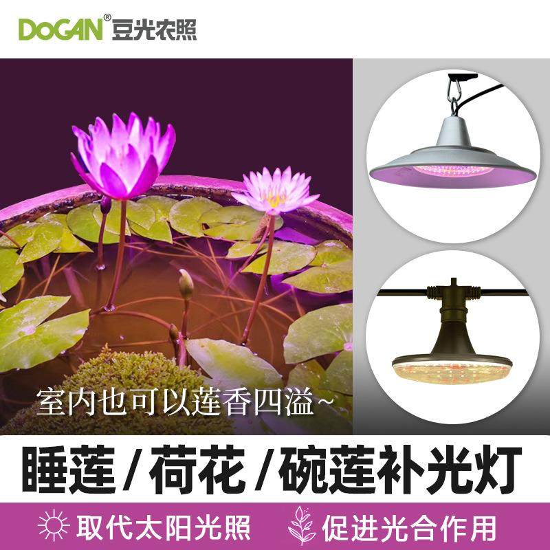 荷花睡碗莲莲专用补光灯 防徒长促抽芽开花LED全光谱植物生长灯荷,玩具/童车/益智/积木/模型,毛绒/玩偶/公仔/布艺类玩具,淘宝优惠券,粉丝福利购,淘宝优惠卷