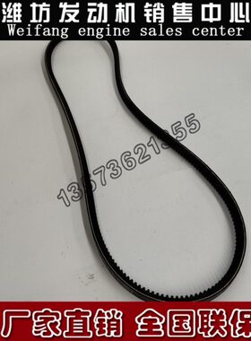 0222道依茨W铲车P柴油发动机6潍柴P613三角皮带9船用732W4潍坊6