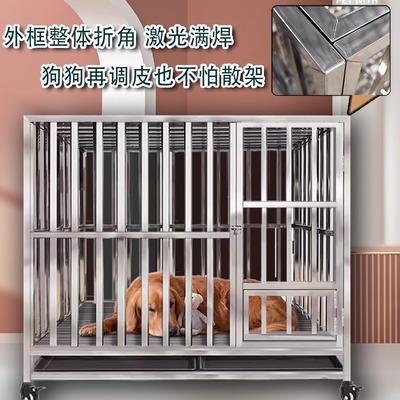 不锈钢狗笼中大型金尼威加厚马犬