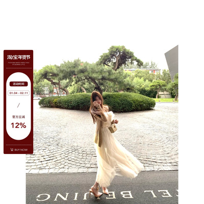 飘逸仙女半身裙网纱长裙白色