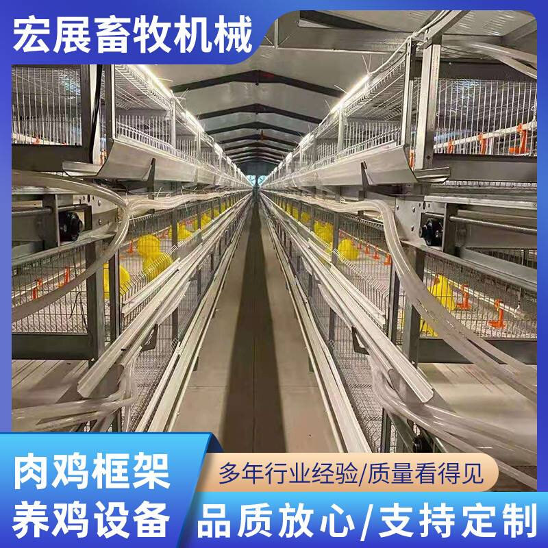 框架肉鸡笼 全自动三层四层叠式设备 养殖专用肉鸡笼设备规格齐全
