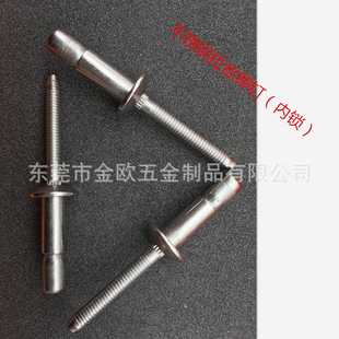 全铝全铁抽芯铆钉内锁口杯不锈钢拉铆钉 工厂现货不锈钢拉丝铆钉