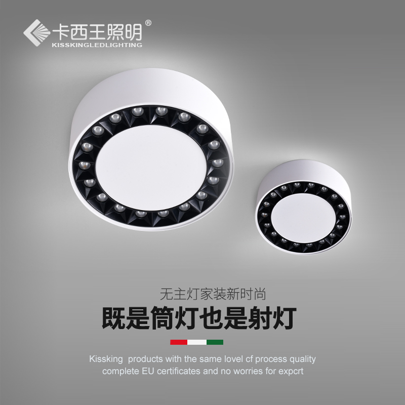 极简客厅无主灯设计圆形斗胆灯格栅灯卧室吸顶式射灯lXed明装筒灯
