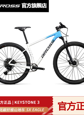 碳纤维山地车Keystone 3 全内走线设计  SX Eagle 12速