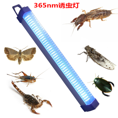 led诱虫灯充电式带挂q钩户外蝼蛄蟋蟀知了蝎子龙虱黑光引虫灯