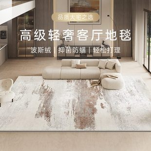 地垫可擦轻奢毯感2025家用地毯客厅免洗免洗沙发防水可擦 高级新款