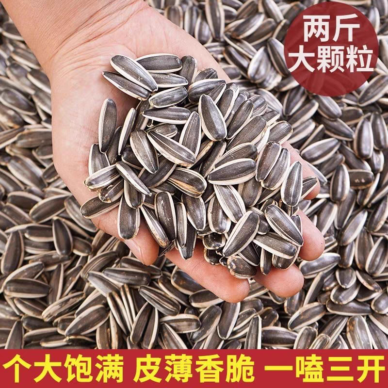 葵瓜子葵花籽香瓜子大颗粒批发炒熟瓜子新货大颗颗粒炒货散装干货