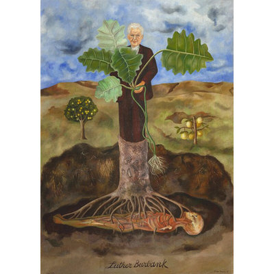 现代装饰画植物学家路德伯班克的肖像弗里达卡罗Frida Kahlo手绘