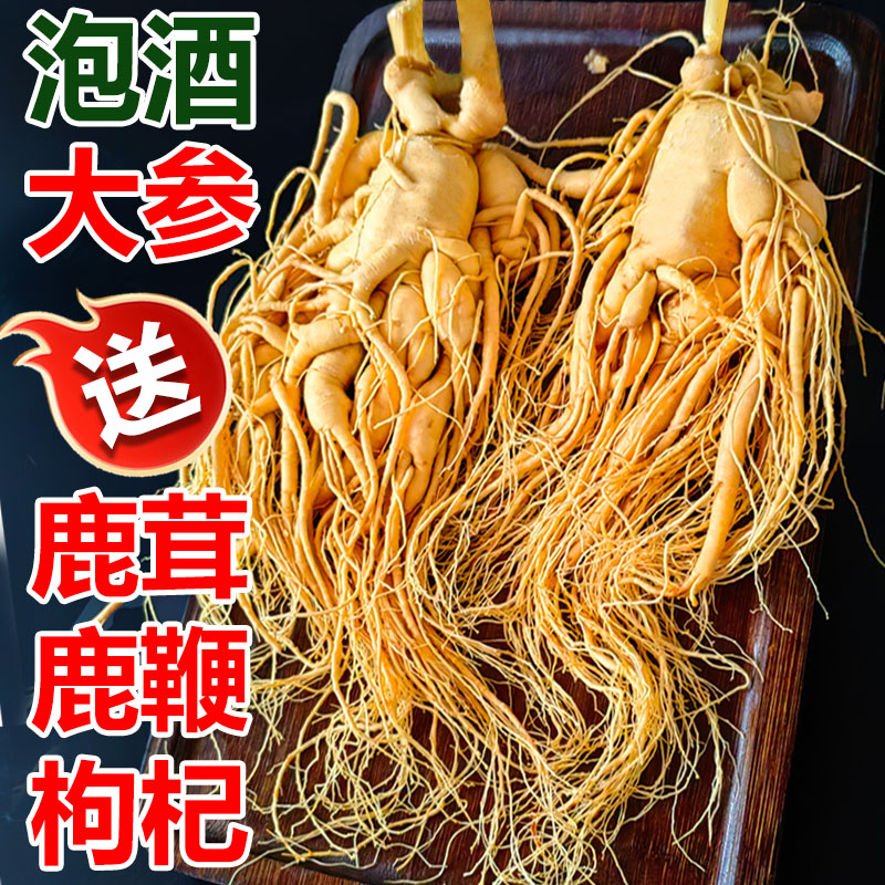人參保鮮參煲湯泡酒料長白山特產