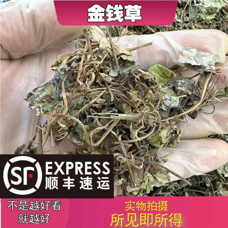 金钱草中药材店铺中草药大全别名：路边黄、遍地黄、铜钱草