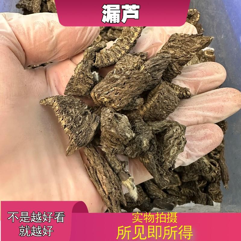 漏芦中药材店铺中草药大全