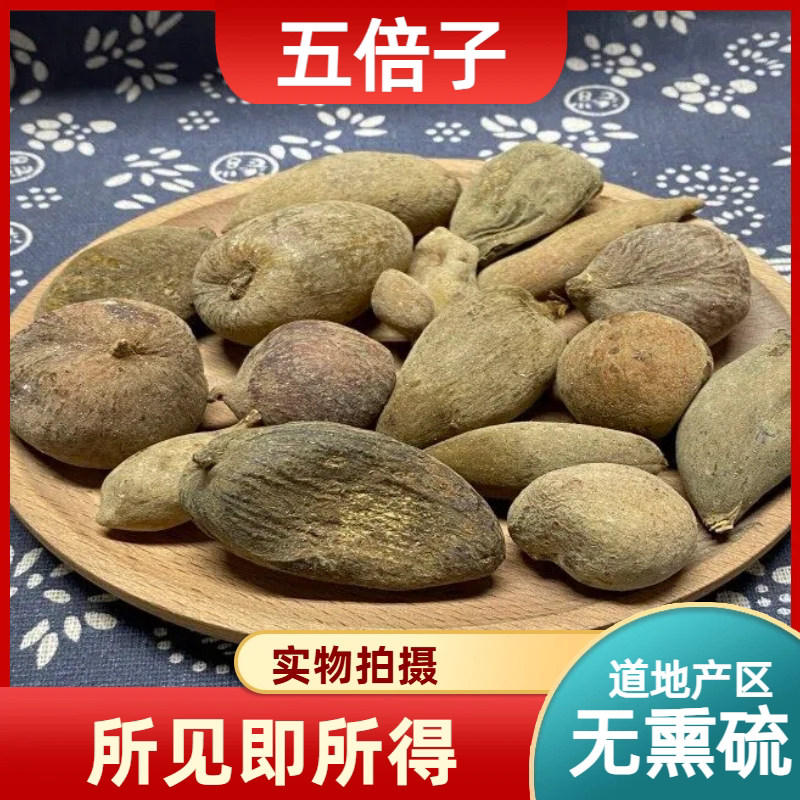 五倍子中药材店铺中草药大全别名：五倍子粉五贝子百虫仓肚倍