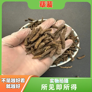 荜茇中药材店铺中草药大全别名:荜拨、荜拨梨、阿梨诃他、椹圣、
