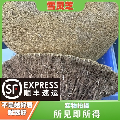 雪灵芝中药材店铺中草药大全