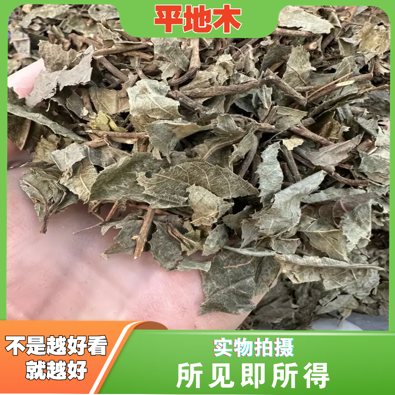 平地木中药材店铺中草药大全别名：叶下红、叶底红、雪里珠