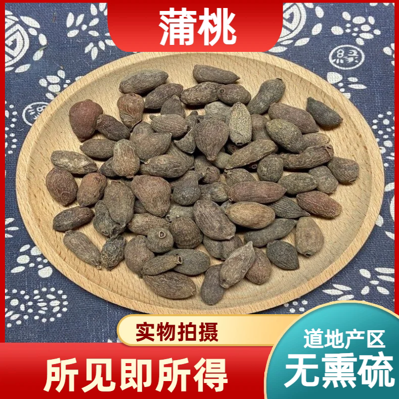 有益佳蒲桃成都中药材市场批发蒲
