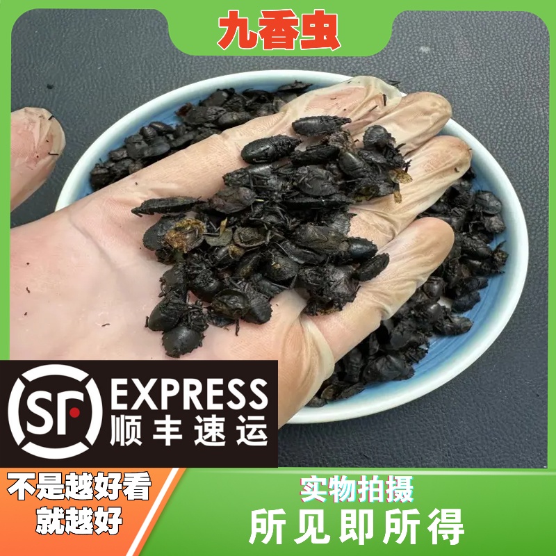 九香虫中药材店铺中草药大全别名：打屁虫，屁巴虫，臭壳子虫