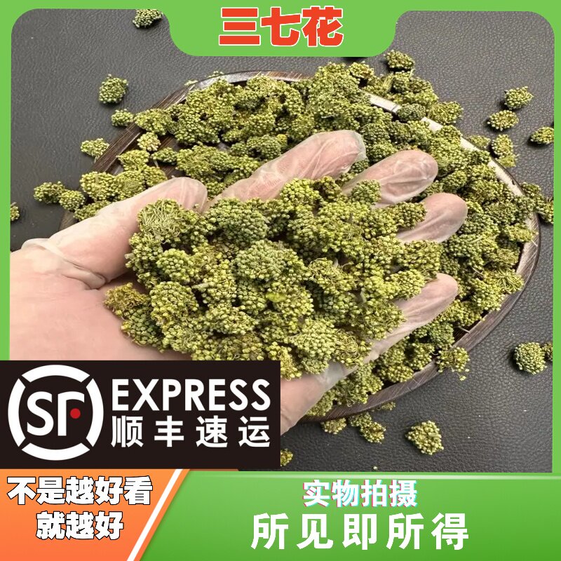 三七花中药材店铺中草药大全别名：牛皮筋、金芒草、痔疮草
