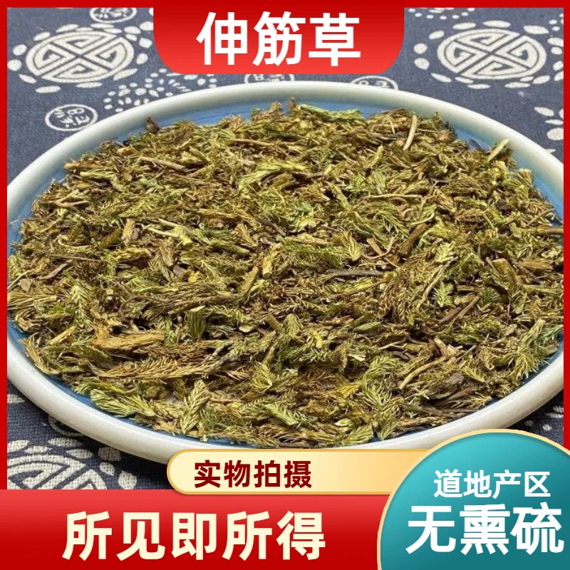 伸筋草中药材店铺中草药大全