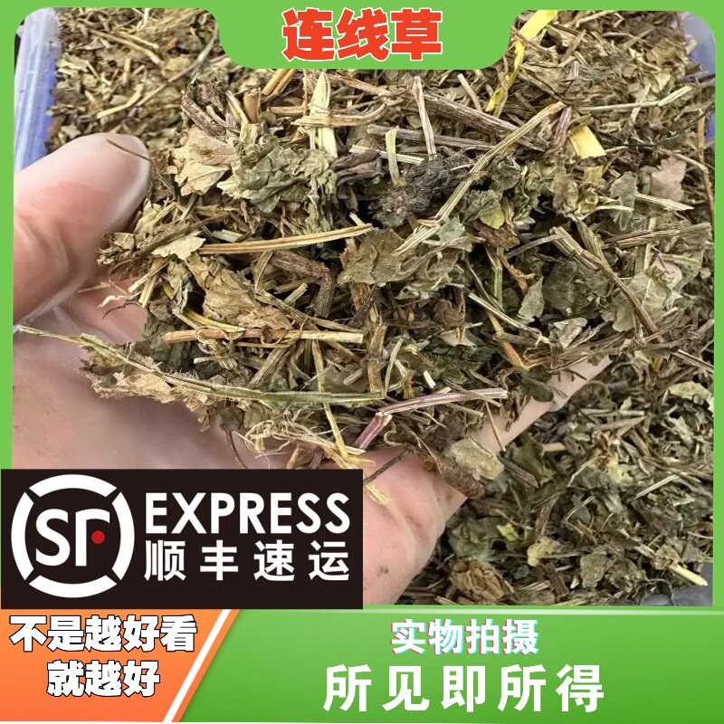 连钱草中药材店铺中草药大全别名：遍地香、活血丹、铜钱草