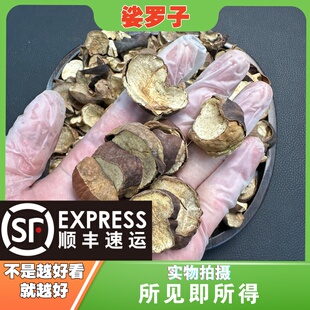 娑罗子中药材店铺中草药大全别名：梭罗子 桫椤果 梭罗果 仙栗