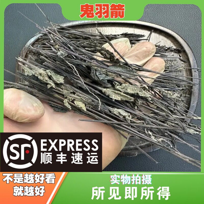 鬼羽箭中药材店铺中草药大全