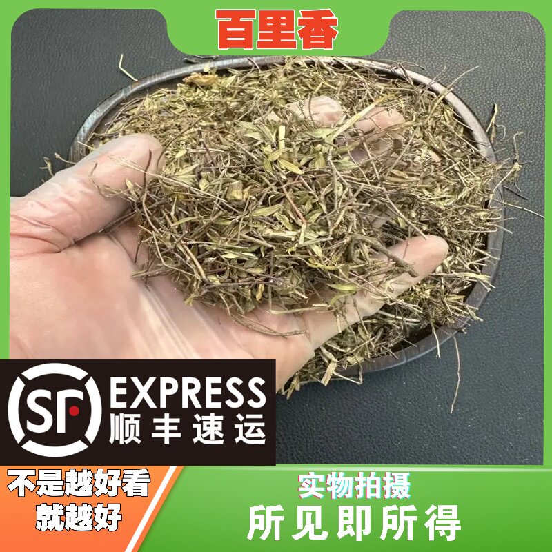百里香中药材店铺中草药大全别名：地姜、千里香、山胡椒、麝香草