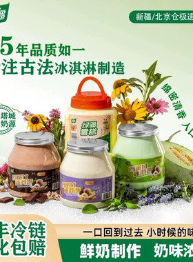鲜奶冰淇淋雪糕大桶装网红冰淇淋