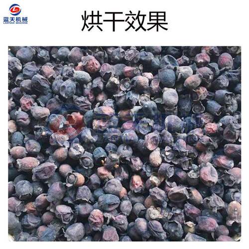 山子烘干机干 空机气能中药材岗捻LT-SNZ子干果山捻烘菍烤 山稔果