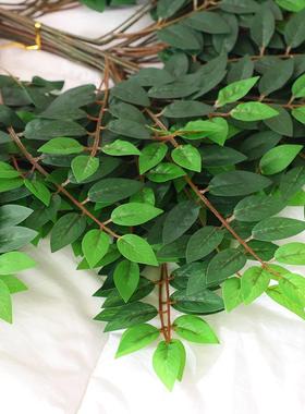 工仿真槐树叶枝假叶仿真槐树子室外程造景植物假花树藤条塑料花室