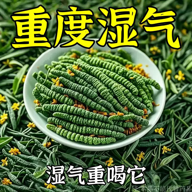 【严重湿寒】舌头白厚腻发黄口苦口干湿寒湿热湿气重湿胖肚子大