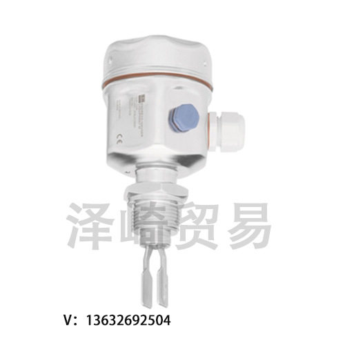 e h静压液位计FMB50  FMB51  FMB52  FMB53  FMB70系列