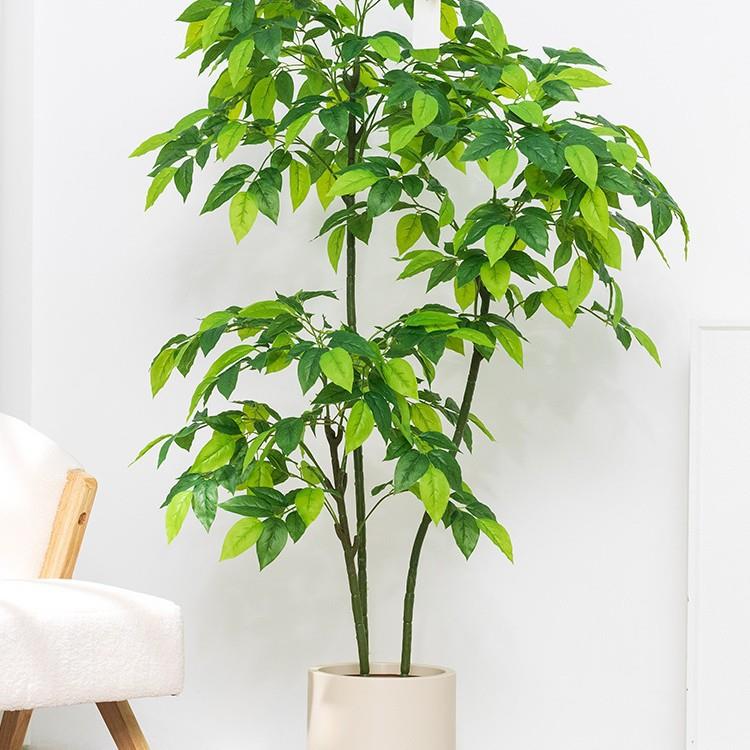 仿真绿植幸福树发财树盆栽摆件室内客厅家居装饰植物仿真植物盆景